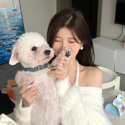 叶问外传：张天志
