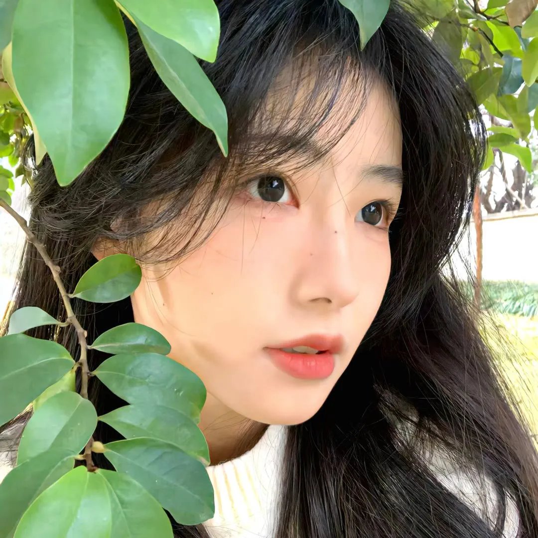 金牌女仵作之阴阳法尺